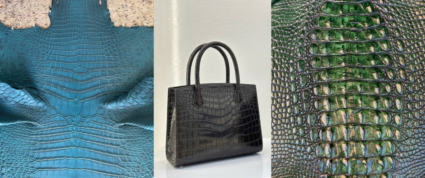 Viet Thanh Crocodile, Vietthanh crocodile, Viet Thanh Crocodile company