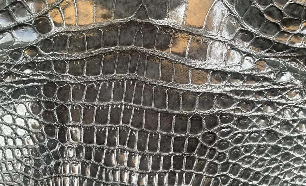 Crocodile leather